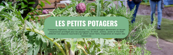 Design sans titre (3)